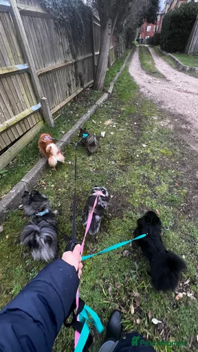 Gallery Image {{count}}