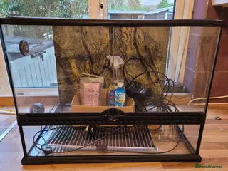 Chameleon reptiles 60 x 45 x 44 Exo Terra terrarium set up - Advert 4