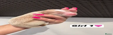 Cavapoo 4