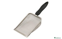 Gecko reptiles for sale: Yellow Leopard Gecko + Full setup  - Image 4