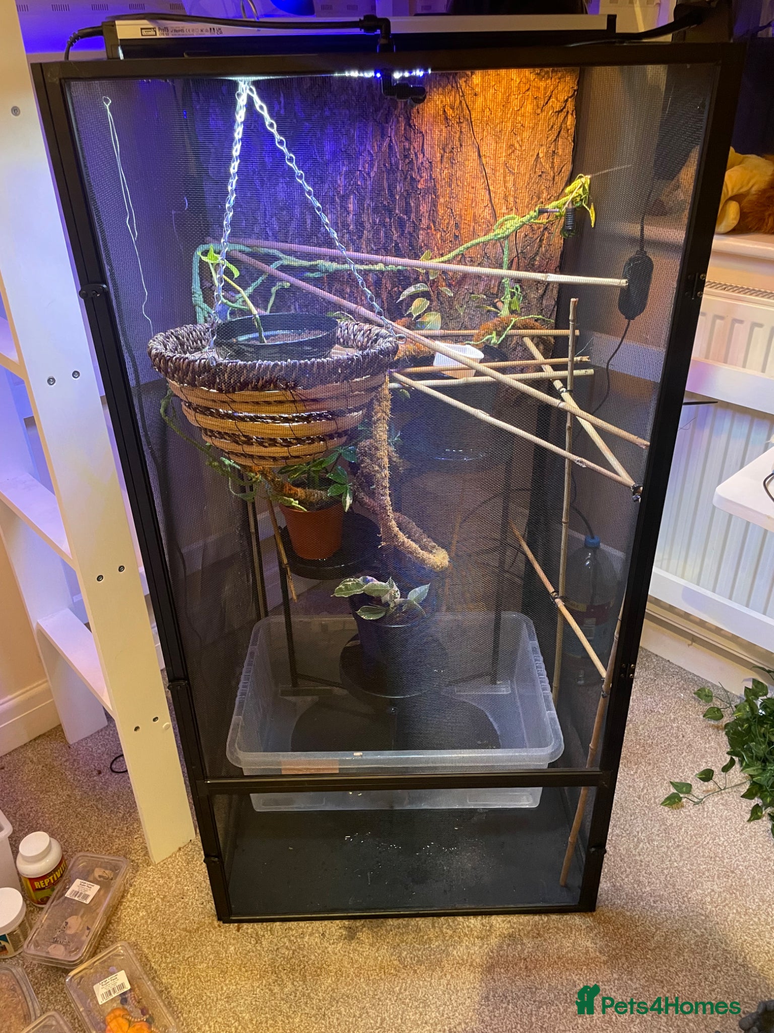 Chameleon reptiles for sale: Zoo Med. Reptibreeze Chameleon Enclosure (NO CHAM) - Advert 1
