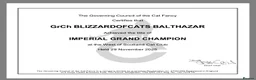 Ragdoll cats for sale: GCCF RAGDOLL KITTENS - Advert 10