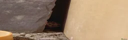 Leopard Gecko reptiles for sale: Leopard gecko and enclosure  in Norwich - Advert 2