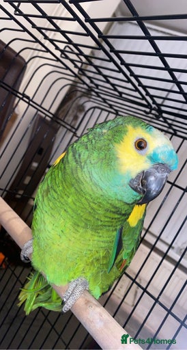 Gallery Image {{count}}