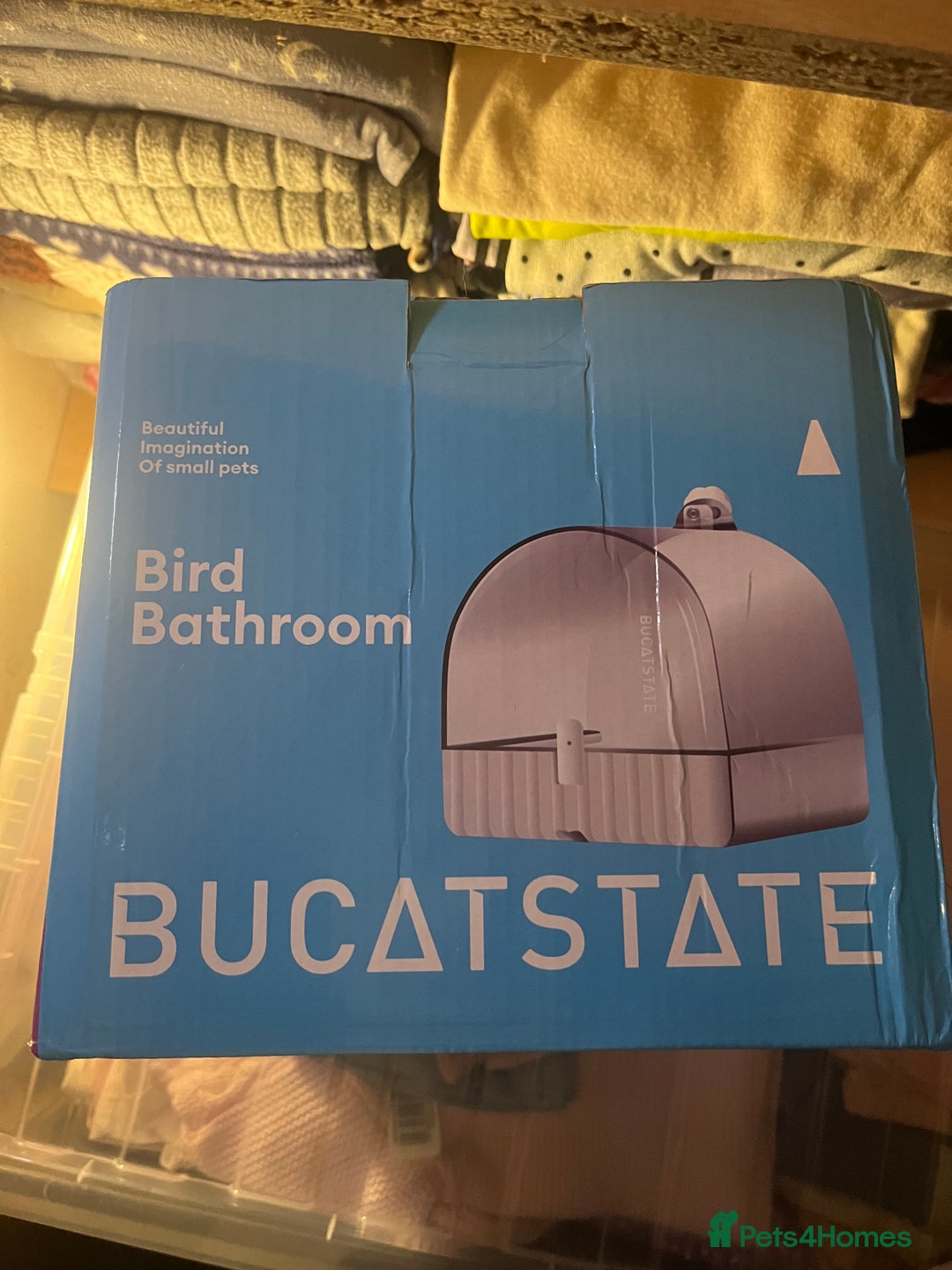 Budgerigars birds for sale: 2 male hand reared budgies with full set up - Image 11