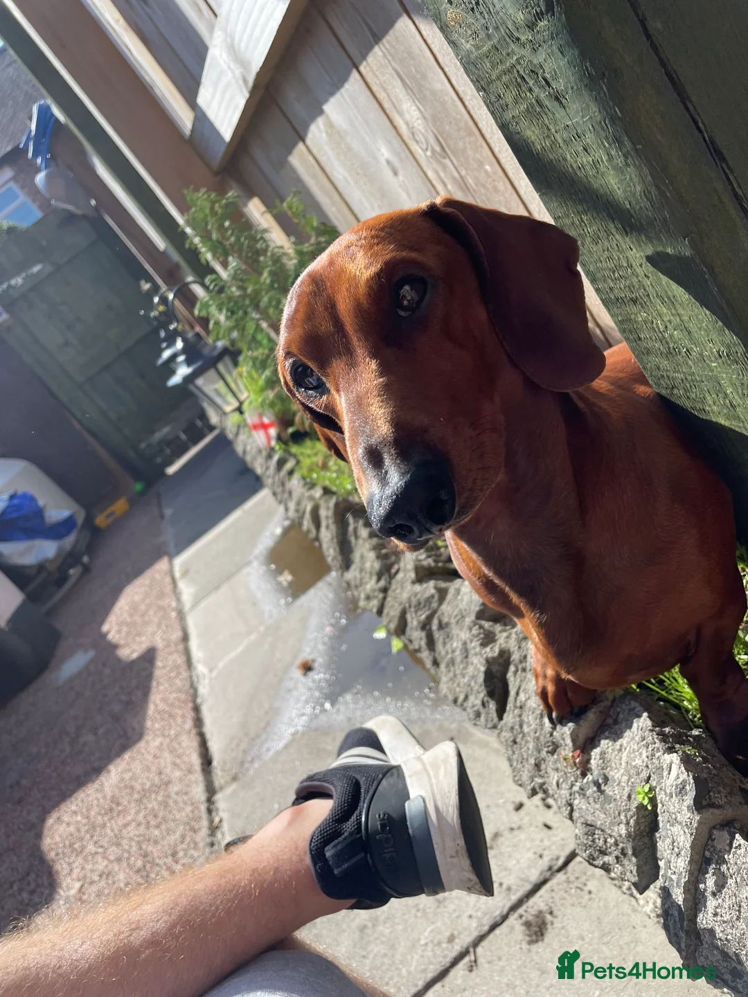 Gallery Image {{count}}