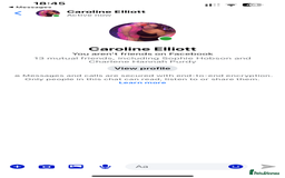 French Bulldog dogs for sale: 3 stunning merle female frenchies  - Advert 4