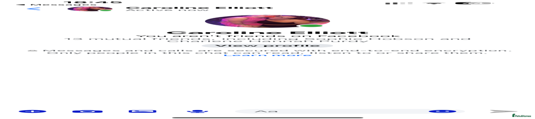 French Bulldog Puppy 3