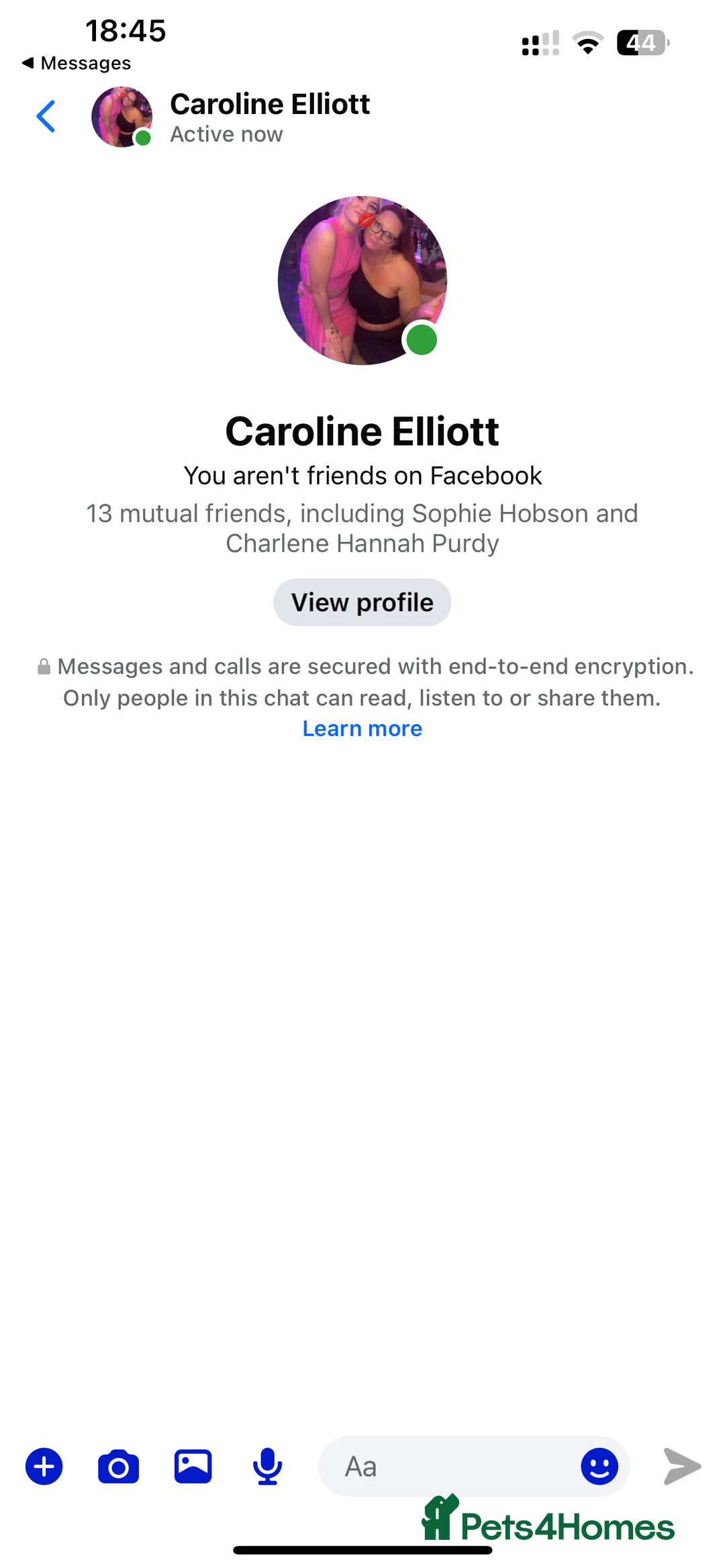 French Bulldog dogs for sale: 3 stunning merle female frenchies  - Advert 4