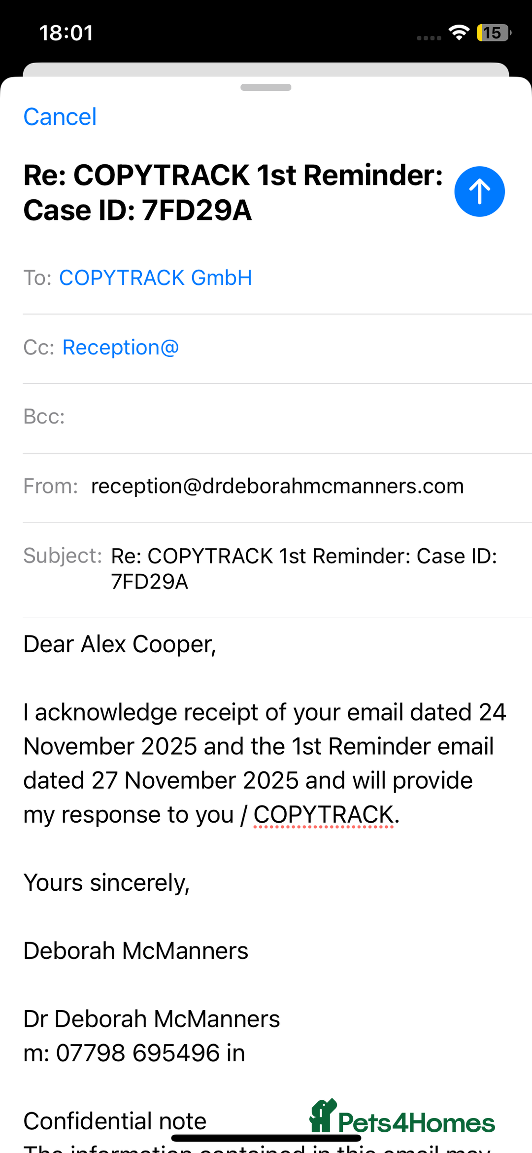 Cocker Spaniel dogs for sale: GORGEOUS COCKER SPANIEL PUPPIES - Advert 24