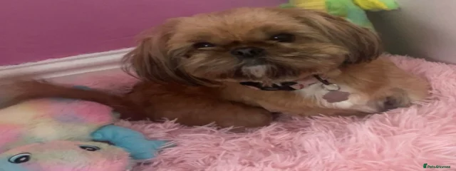 Molly