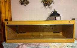 Bearded Dragon reptiles for sale: Complete bearded dragon / vivarium  - Image 2