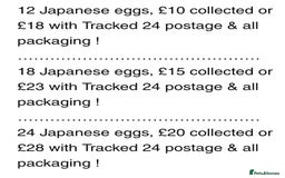 Quail poultry for sale: QUAIL HATCHING EGGS/1ST SEPTEMBER ! - Image 6