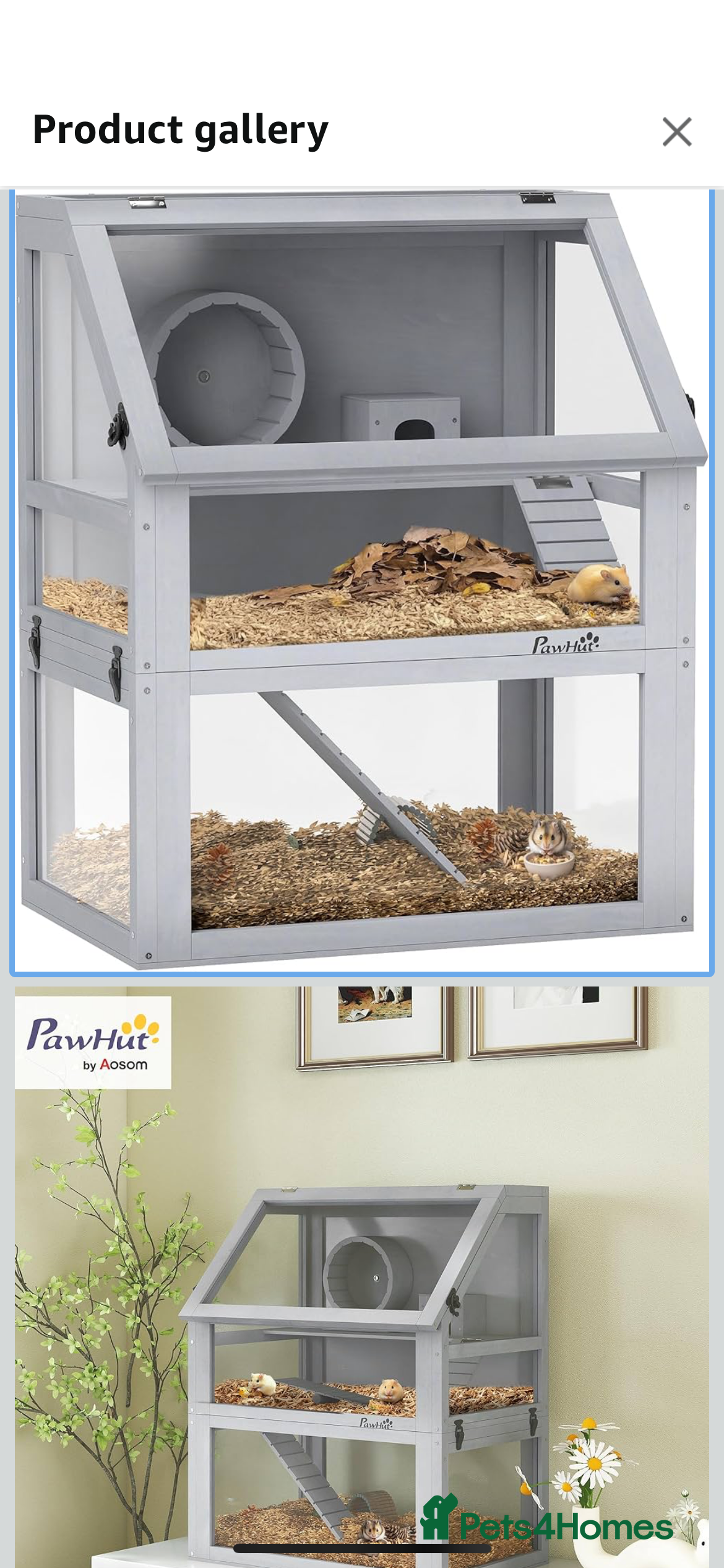 Mouse rodents Mice  - Advert 2