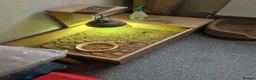 Hermann Tortoise reptiles for sale: House hermann tortoise for sale in Huntingdon - Advert 4
