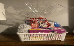 British Shorthair cats for sale: Stunning British short hair GCCF/TICA - Advert 19