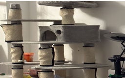 Ragdoll cats for sale: Mr oreo  - Advert 7