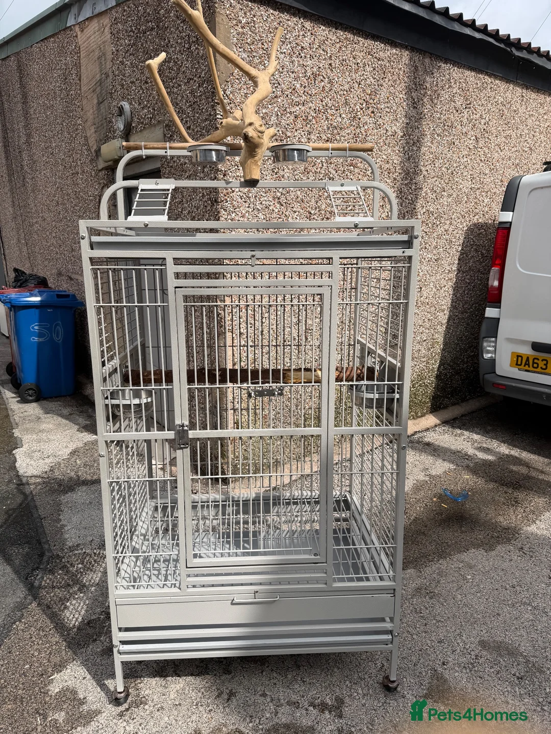 Macaws birds for sale: 5 year old tame harlequin macaw  in Blackburn - Advert 2