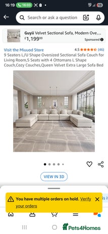 Rat rodents Shshs - Advert 1