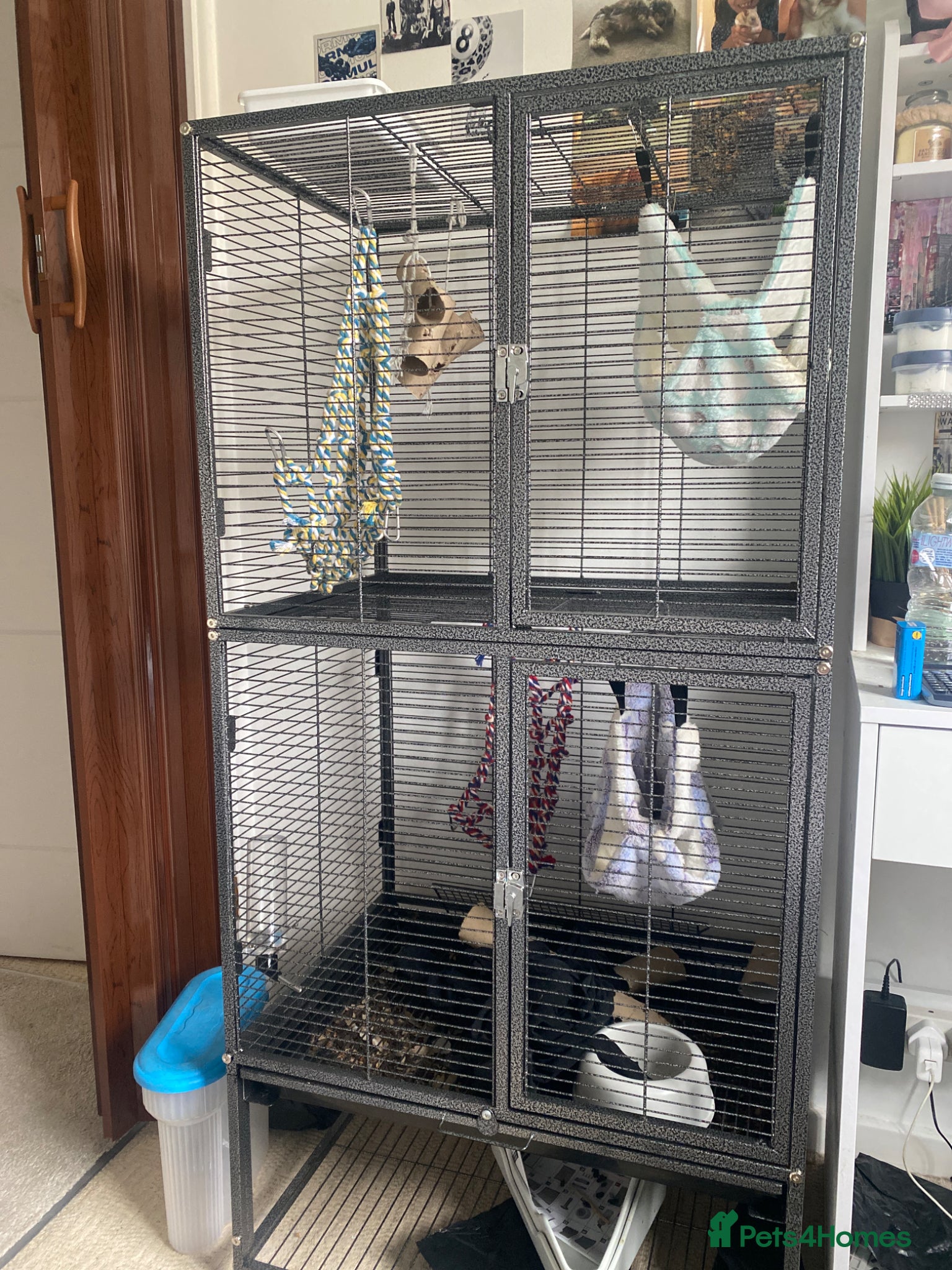 Rat rodents Cage and accessories  - Advert 5