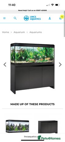Other/Mixed Breed fish - Advert 17