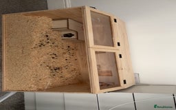 Hamster rodents for sale: Hamster cage & stuff (without the hamster). - Image 2