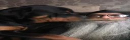 Rottweiler dogs for sale: IVOR KC REG ROTTWEILER PUP - Advert 10