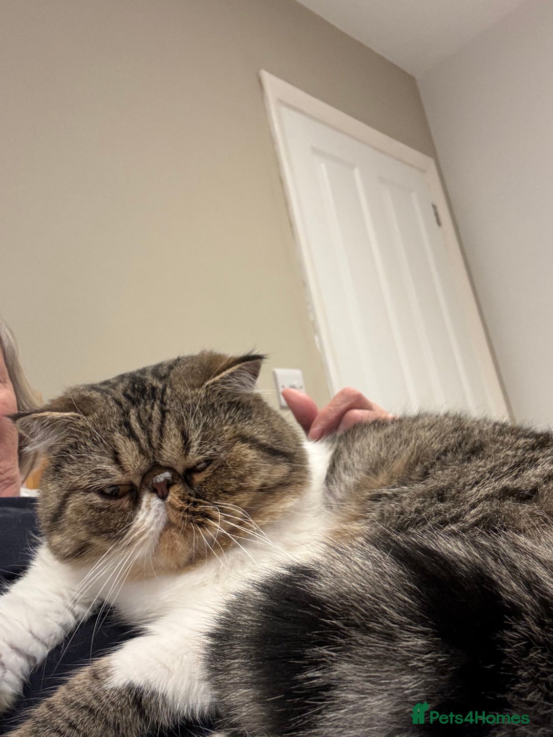 Gallery Image {{count}}