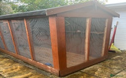 Budgerigars birds for sale: Budgies with an Aviary available. - Image 8