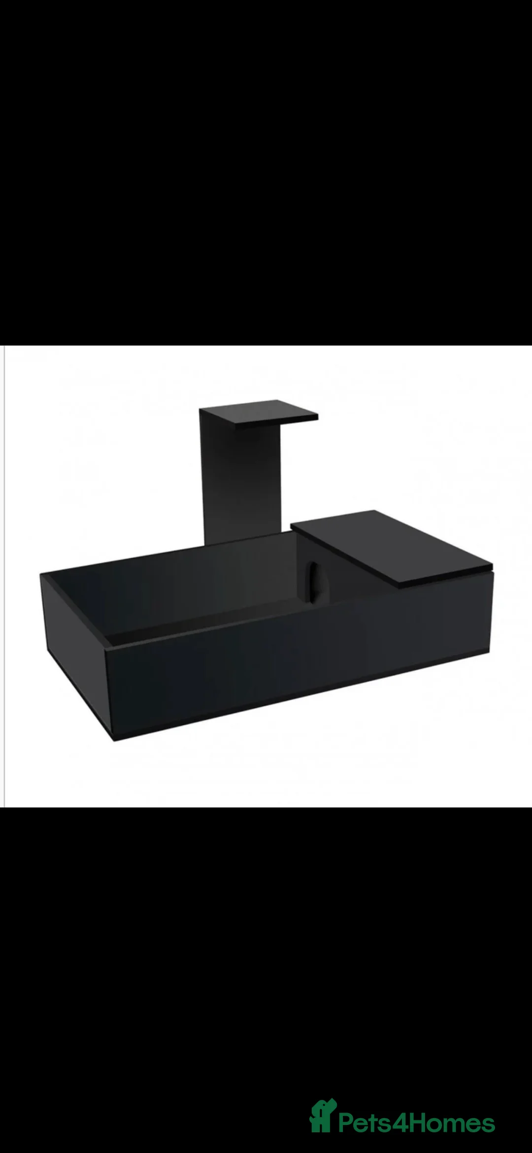 Turtle reptiles for sale: Baby Herman’s tortoise  - Advert 2