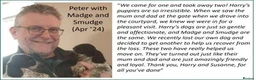 Cocker Spaniel dogs for sale: Stunning Show Cockers - Crufts Champion Pedigree in Stoke-on-Trent - Advert 22