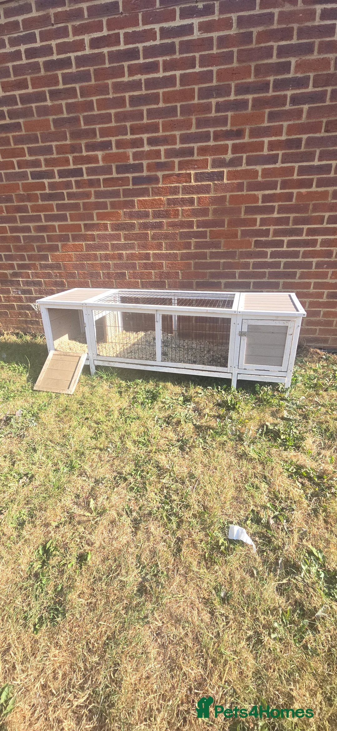 Chickens poultry for sale: Rabbit hutch £40 Quick Sale - Advert 2
