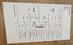 Labrador Retriever dogs for sale: Quality Litter of Labrador pups  - Image 3