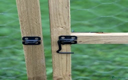 Chickens poultry for sale: Chicken Coops - excellent quality - British Made - Image 13