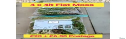 Millipedes invertebrates for sale: Pick & Mix see Photos  - Advert 8