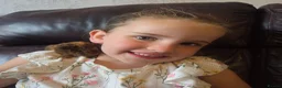 Guinea Pig rodents for sale: Baby guinea pigs, 1 girl, 1 boy - Advert 5