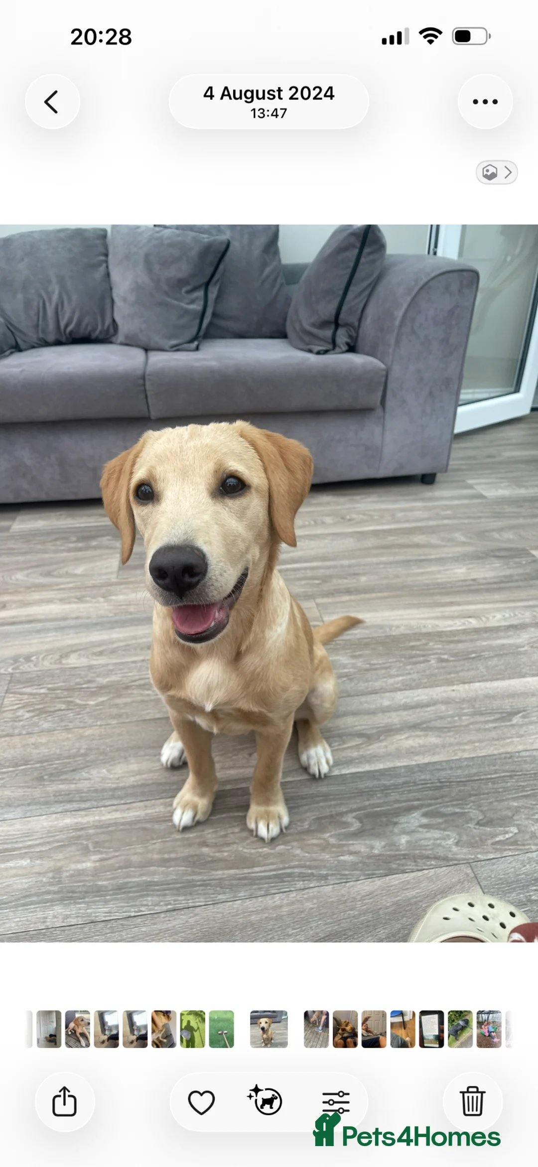 Gallery Image {{count}}