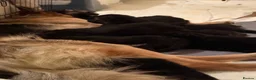 German Shepherd dogs for sale: German shepherd pups  - Advert 2