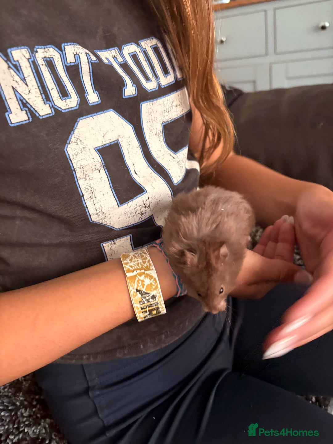Hamster rodents for sale: Friendly Syrian hamster babies  - Image 19