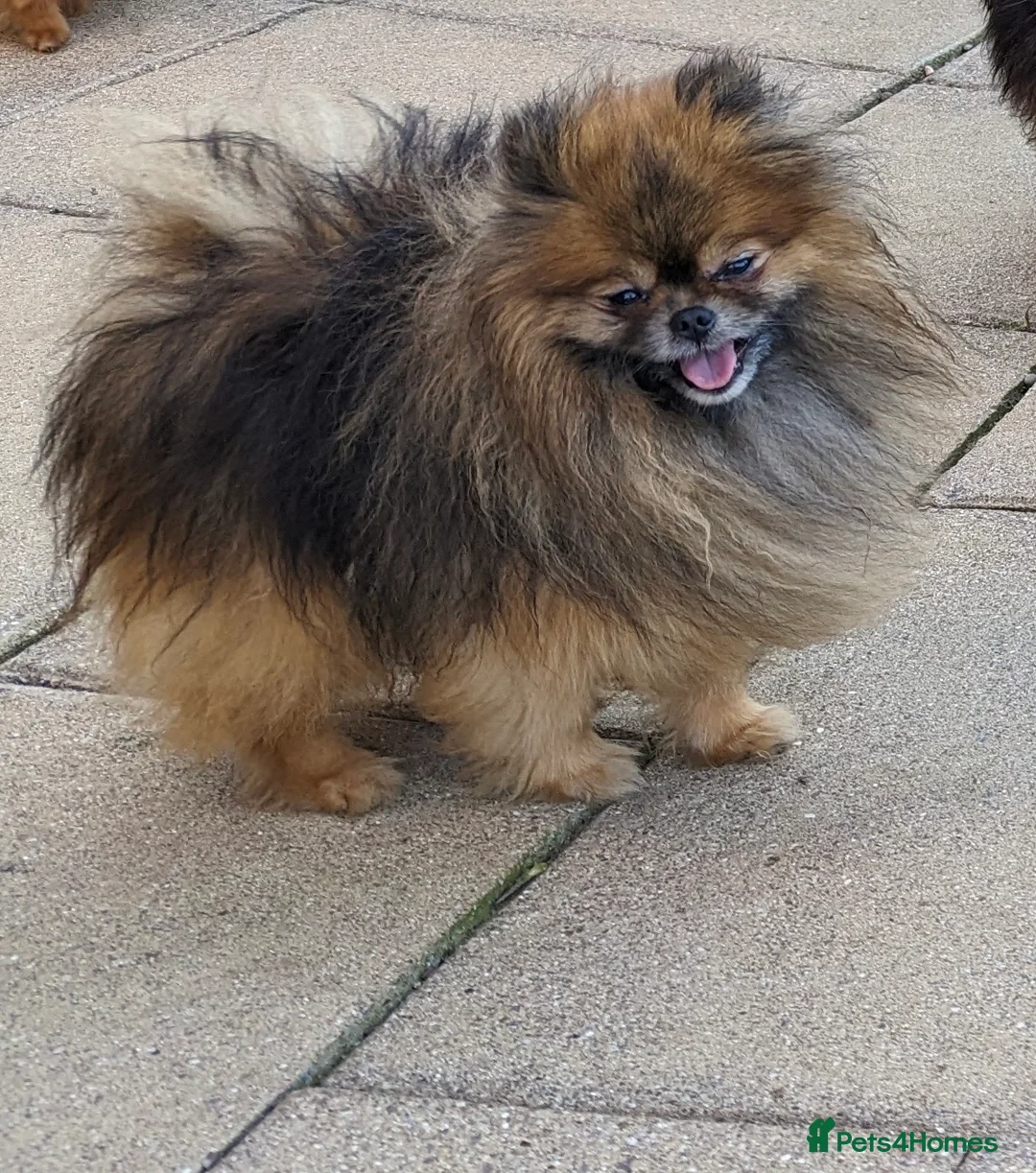 Gallery Image {{count}}