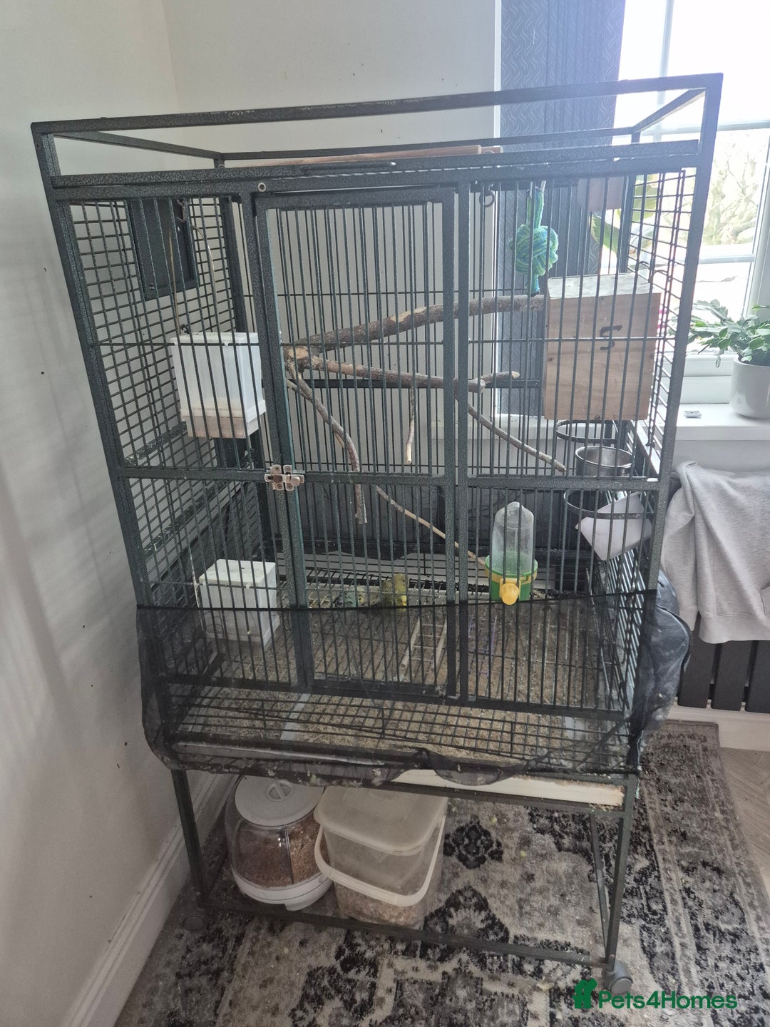 Budgerigars birds for sale: Large parrot cage with 3 budgies  - Advert 2