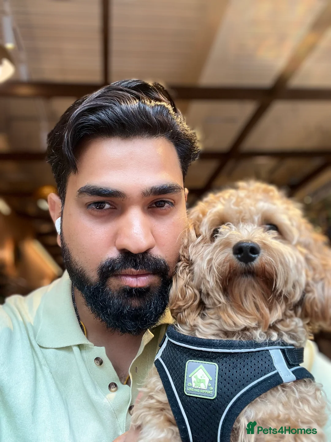 Gallery Image {{count}}