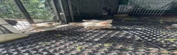 Chickens poultry for sale: 5 bantam hens & 1 cockerel bantam - Advert 21