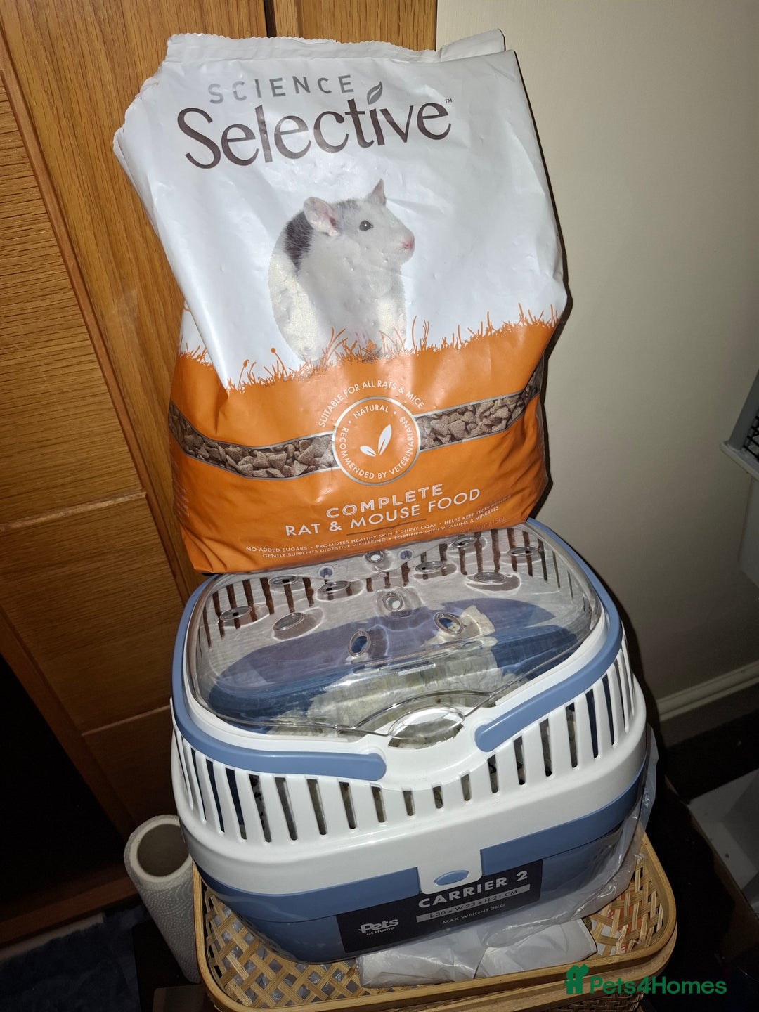 Rat rodents for sale: 2 Lovely Female Rats For Sale (Full Setup) - Advert 6