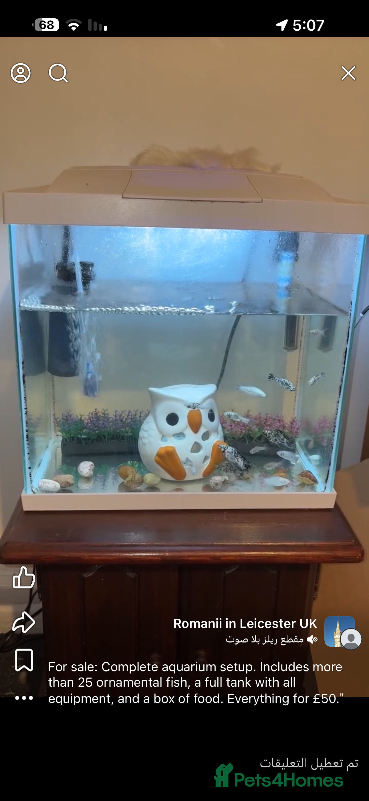 Mollies fish LE3 9JQ in Leicester - Advert 1