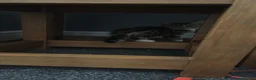 Mixed Breed cats for sale: 2x girl kittens  - Advert 4