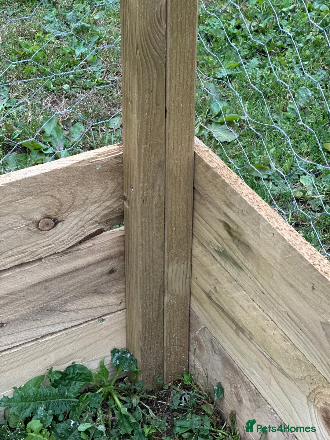 Chickens poultry for sale: Chicken Coops - excellent quality - British Made - Image 15