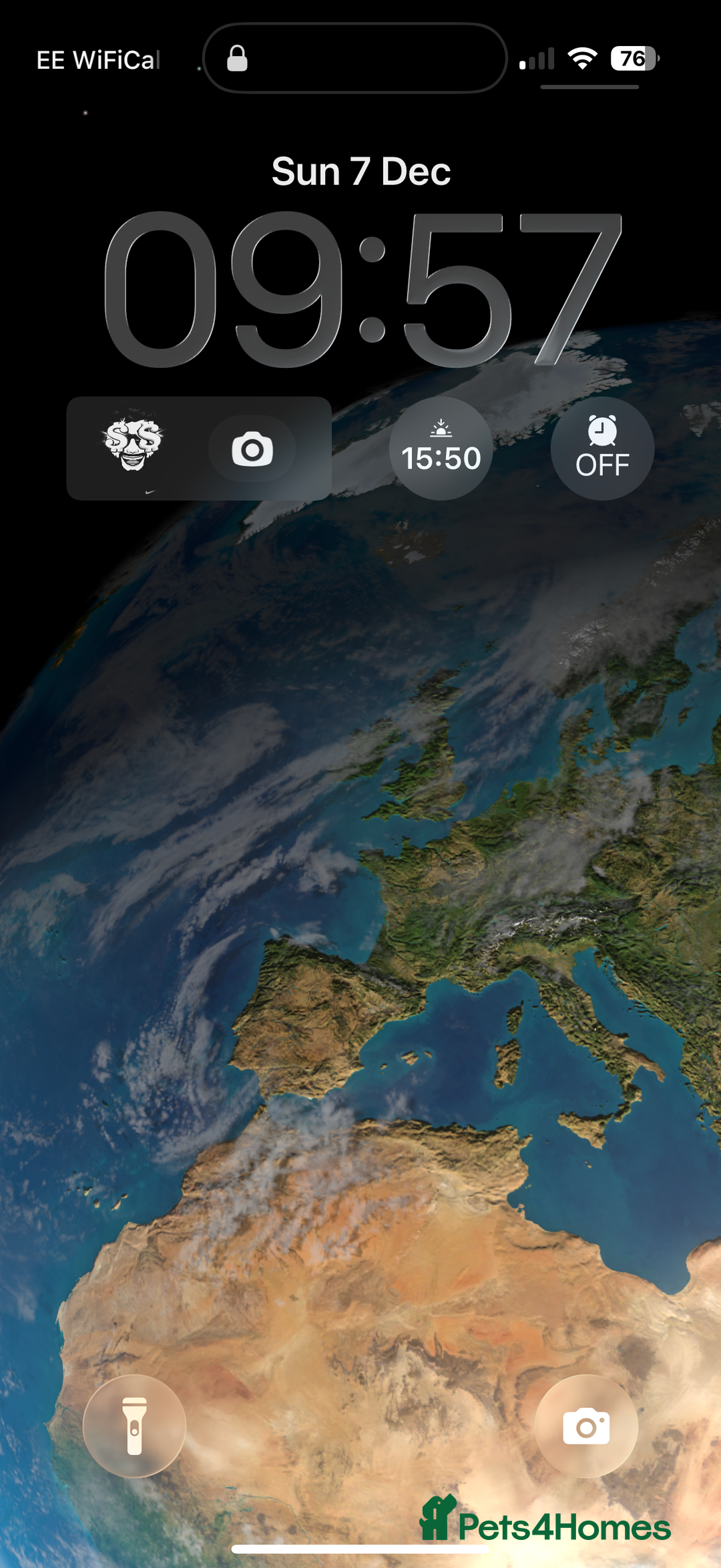 Scottish Fold cats for sale: Scottish fold beautiful kittens - Advert 8