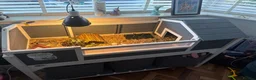 Hermann Tortoise reptiles for sale: Hermans tortoise in Shepperton - Advert 4