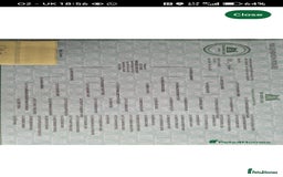 English Springer Spaniel dogs for sale: 🌟 Beautiful Springer Spaniel Litter - Image 21